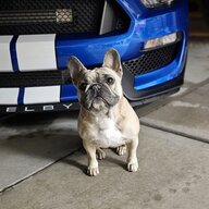 fosgateZ
