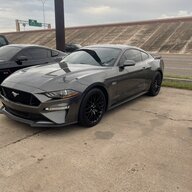 TXmustang