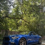 josh2017gt