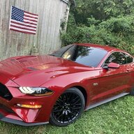 5.0 Bliss