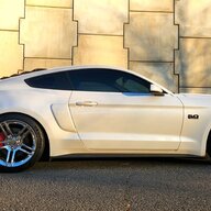 Mustanglifecrisis