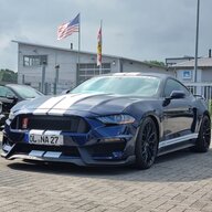 Stang2019