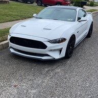 LitStang