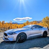 SilverStateStang