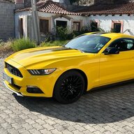 Colt81