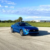Bluestang 5.0
