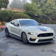 OldSkooleNewStang