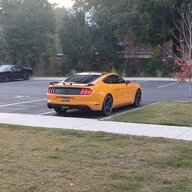 OrangeFuryNWFL