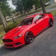 Ant_5445