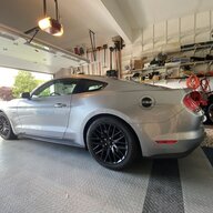 mdoren252