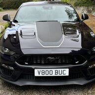 Ianv8stang