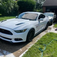 cummmy5.0