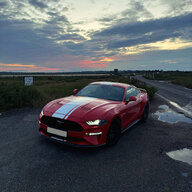 Welsh Stang