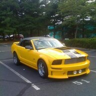 BigMustangMike