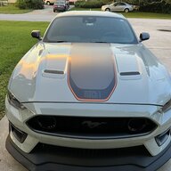 bluestang35