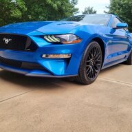 BlueAngel19