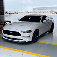 sadie_s550