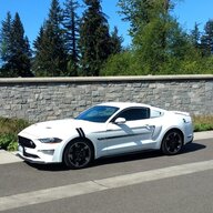 Stang19gtcs