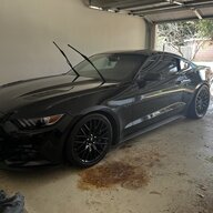 225stang