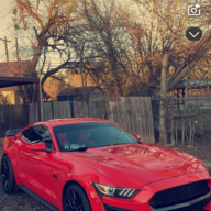 5.0reddy