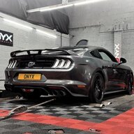 Mustang Tally