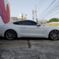 Toro73