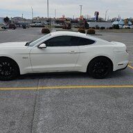 Drew5.0