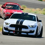 GT350Willow