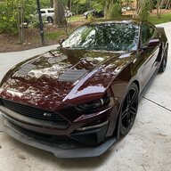 crimsonrs1