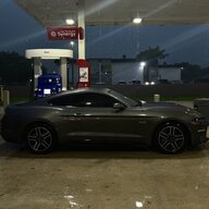 graymustang