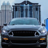 Blue_themustang
