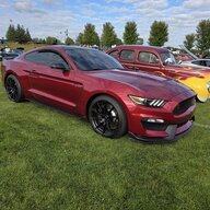 MN52LTR