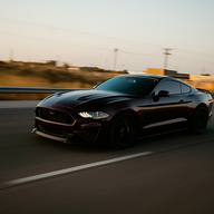boosted_coyote32