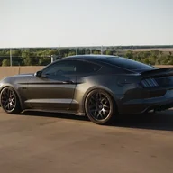 2015pp1gt