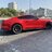 Stang55
