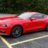 KentuckyStang
