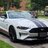 XR8D GT STANG