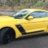 Aussiestang