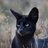 Drewgamer