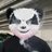 VapnPanda