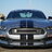 IconicGT350