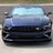 Stang#5