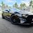 Stang lion 786