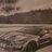 Shelby3502020