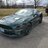 Bullitt 2019
