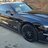 Mustangkev6687
