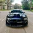 Blu_stallion