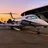 Flies624