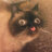 17andeb