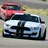 GT350Willow